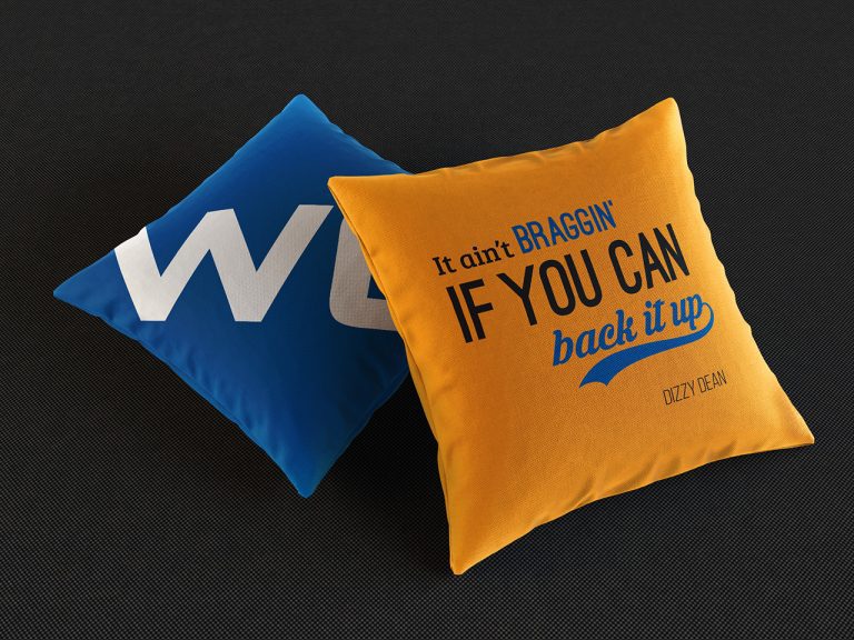 WOUC - Baseball Pillow